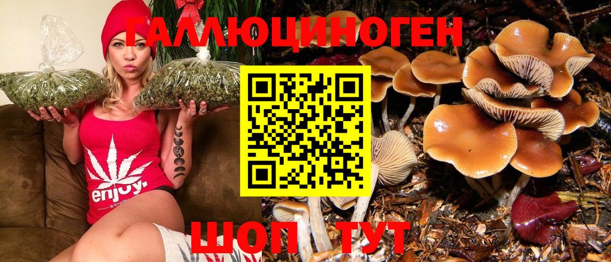 Галлюциногенные грибы MAGIC MUSHROOMS Новочебоксарск