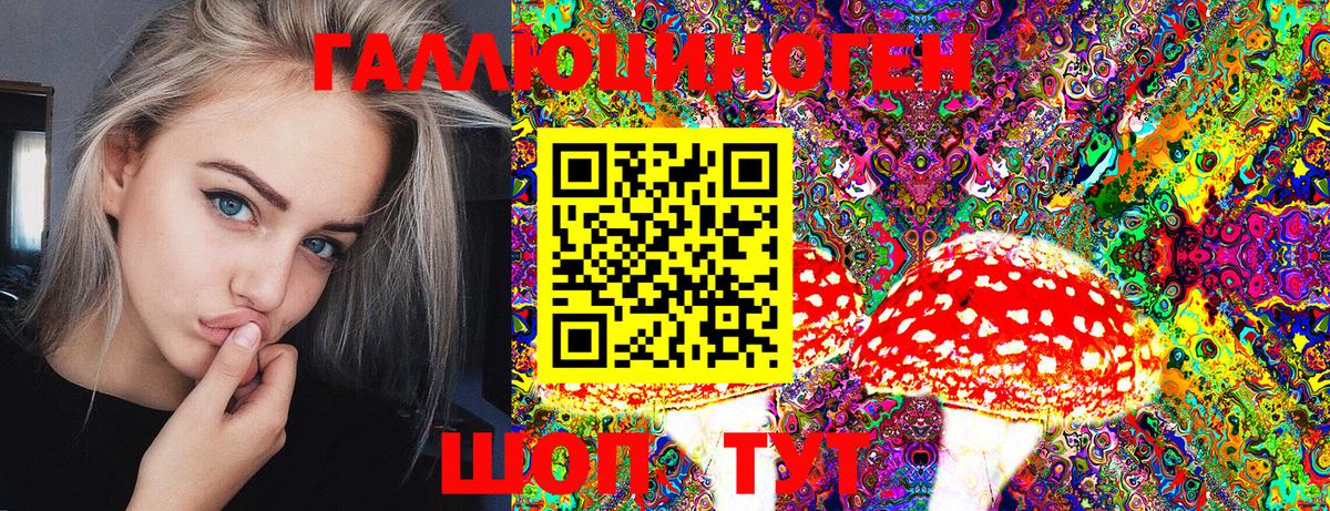 Новочебоксарск  купить  цена  Вход с VPN  Галлюциногенные грибы Psilocybe 